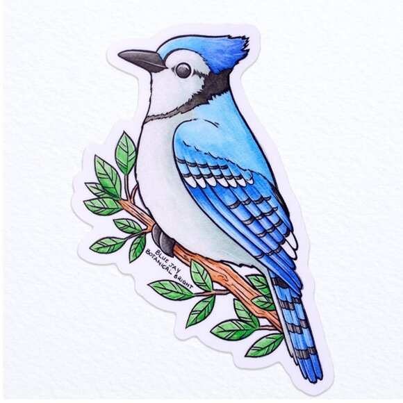 3 for $15 - Blue Jay Bird Sticker - Waterproof Vinyl‎ - Picture 1 of 2